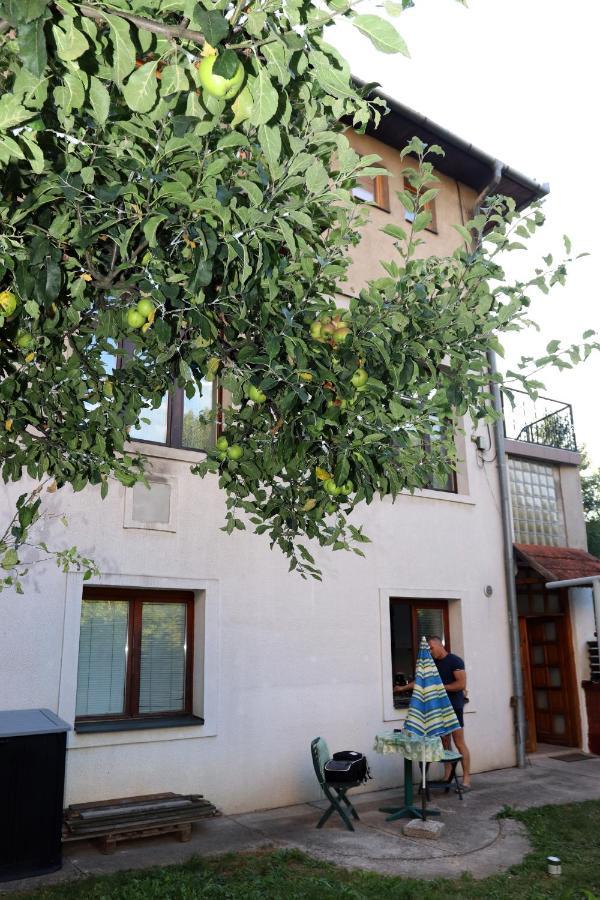 Vila Rijad Szarajevó Kültér fotó